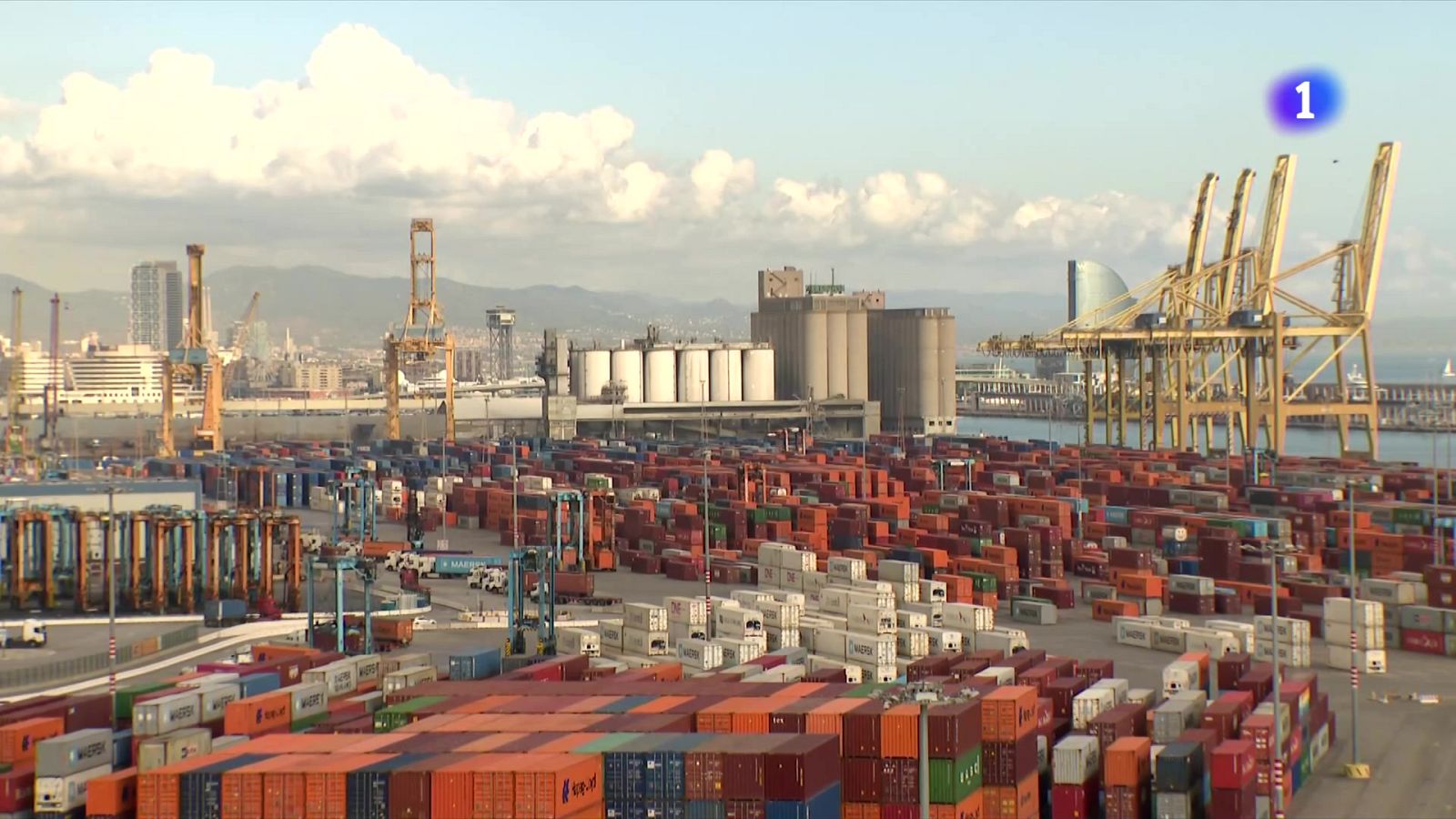 Barcelona, porta d’entrada de la soja: vaixells gegants per alimentar la ramaderia intensiva