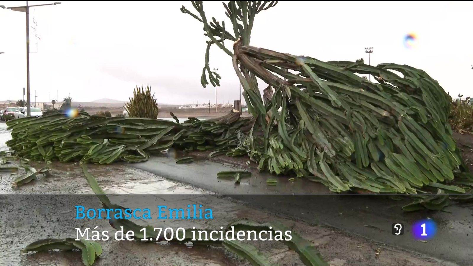 Telecanarias - 14/12/2025 | Ver