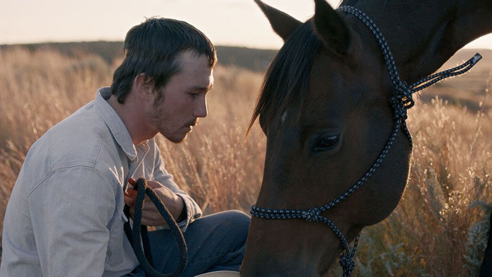The rider | Ver películas gratis en RTVE Play - Cine Club Play | Ver película