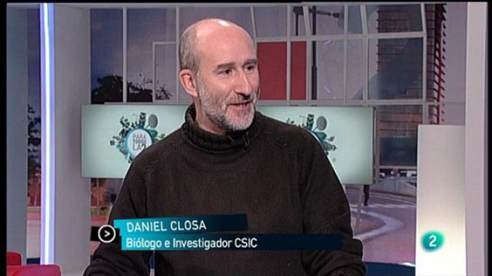 Para todos La 2 - La intuición