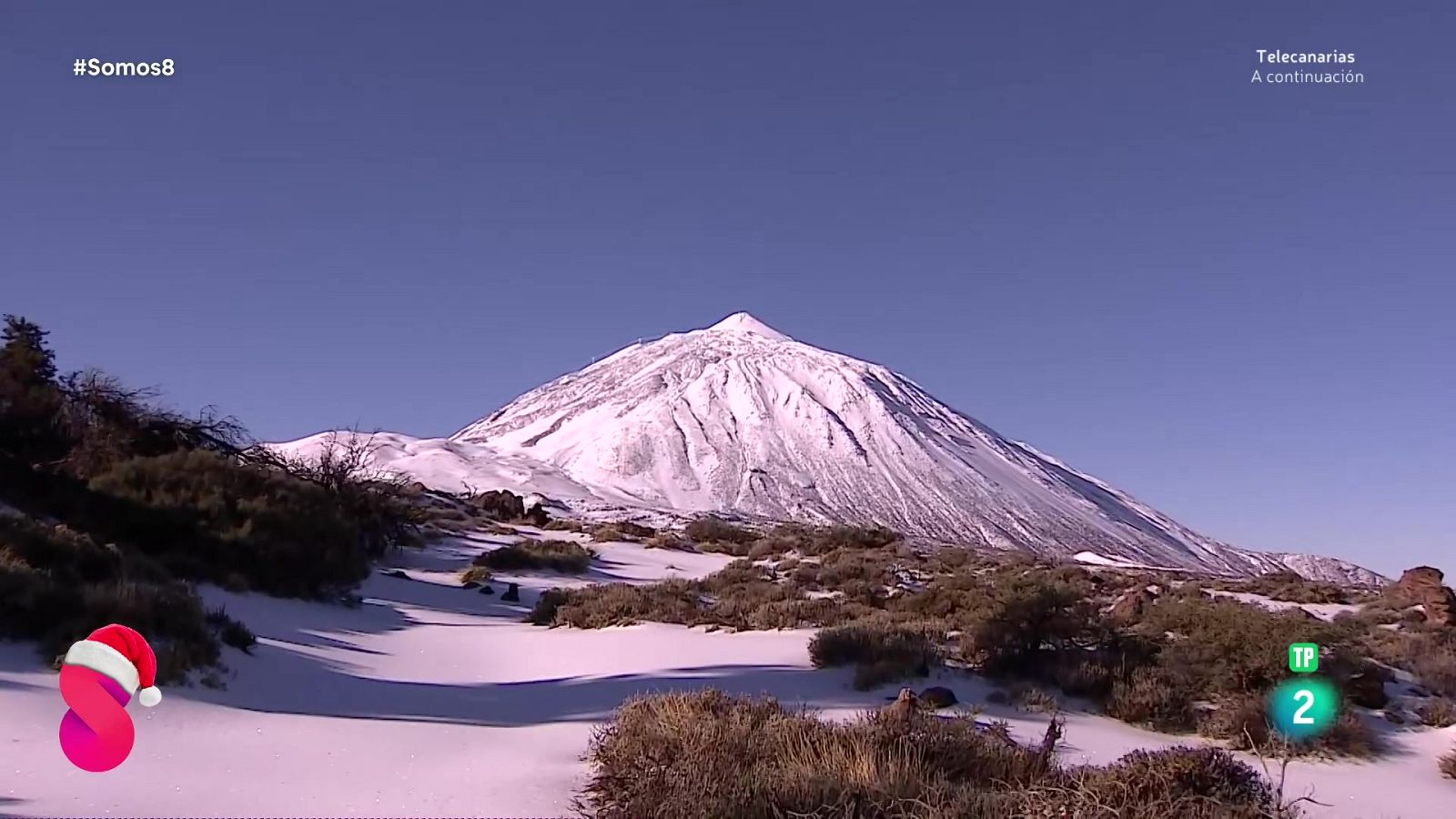 Somos 8 - 15/12/2025 - Somos 8 | Ver