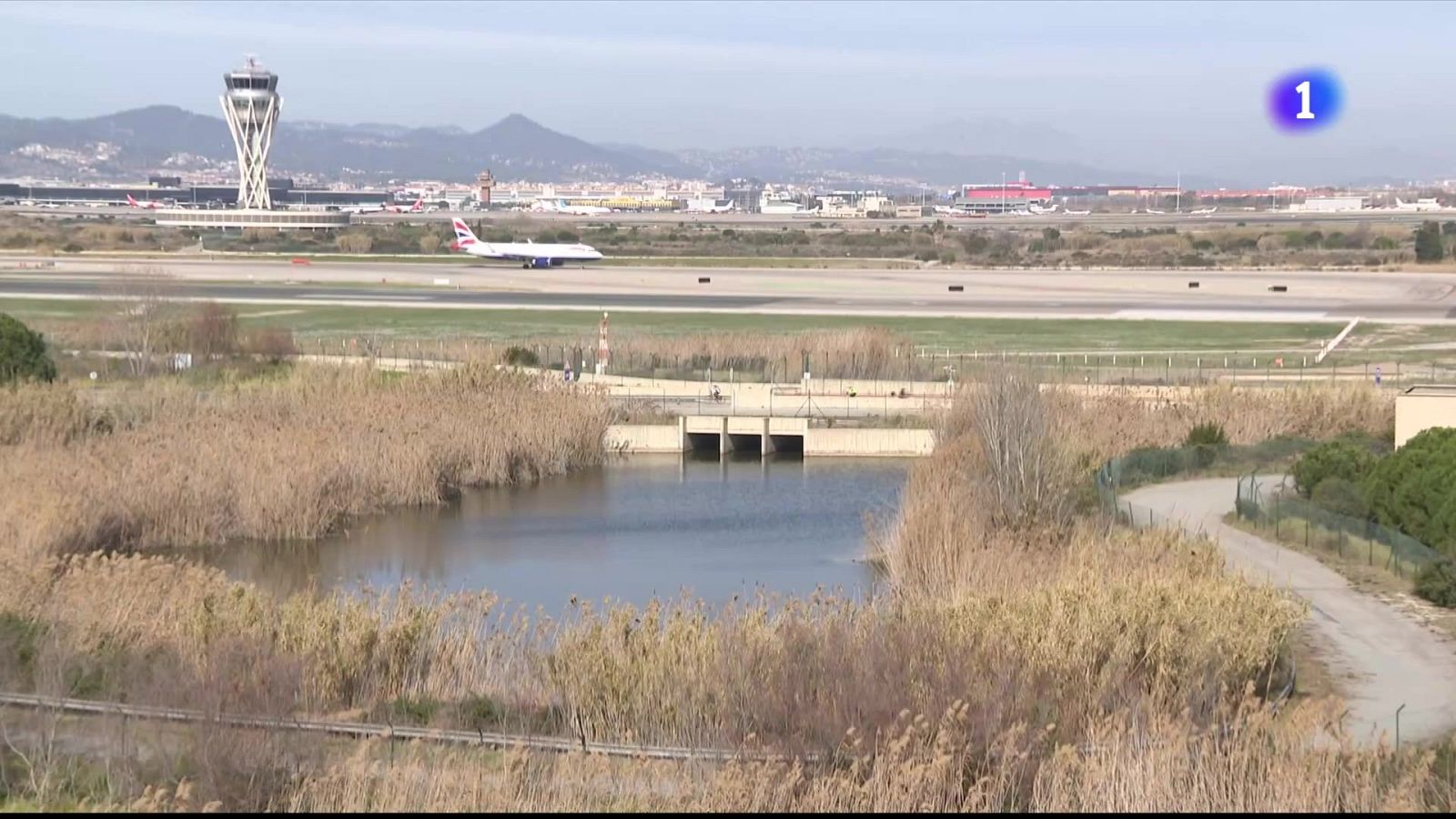 Ecologistes i pagesos discrepen sobre la protecció de les aus al Parc Agrari del Llobregat