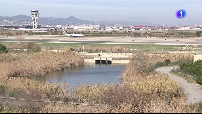 L'Informatiu - Ecologistes i pagesos discrepen sobre la protecció de les aus al Parc Agrari del Llobregat