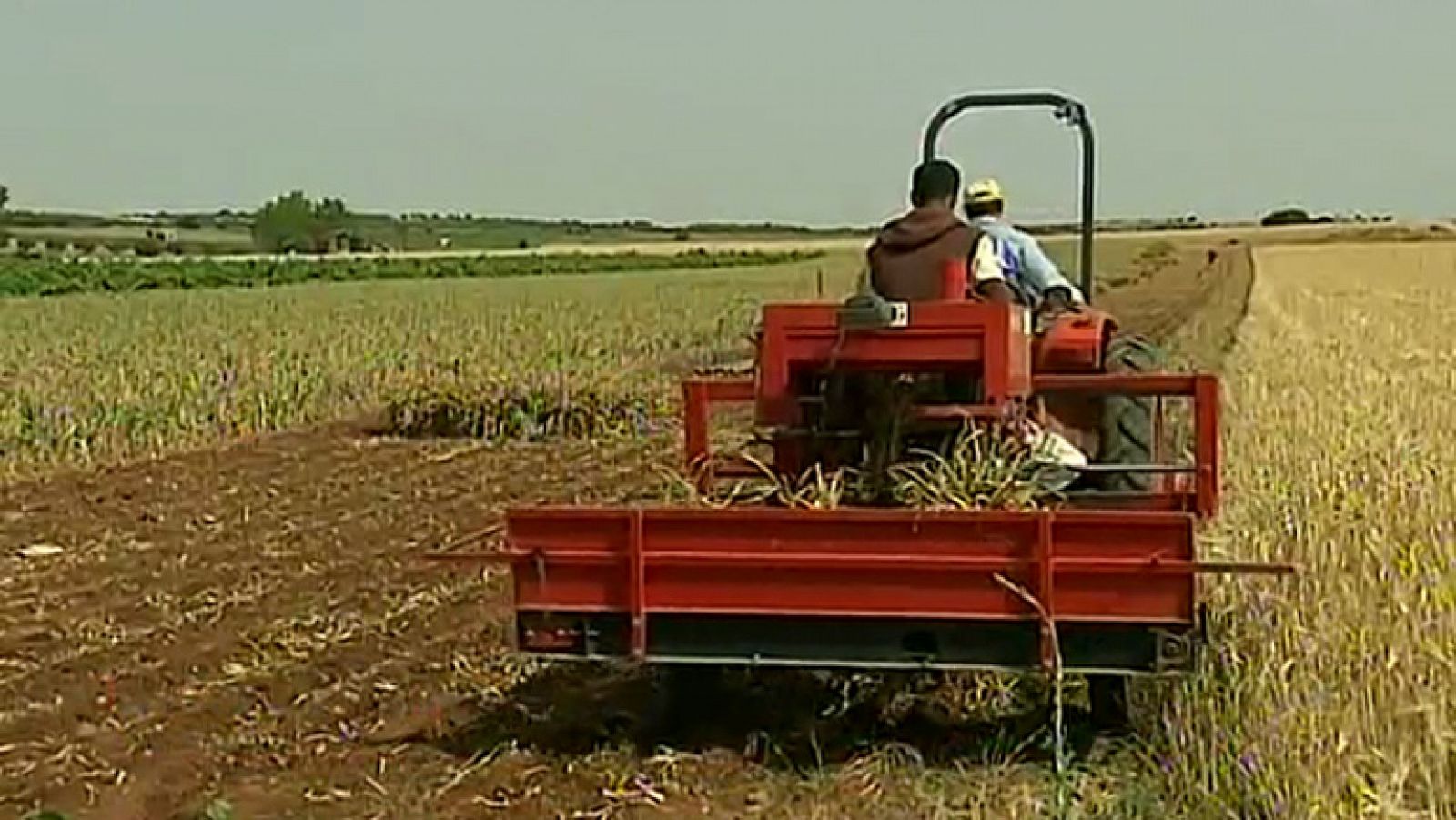 Telediario 1: Nueva Ley de la cadena alimentaria | RTVE Play