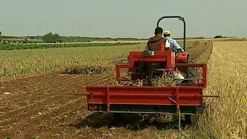 Se aprueba un proyecto de Ley que mejora los precios que reciben agricultores y ganaderos