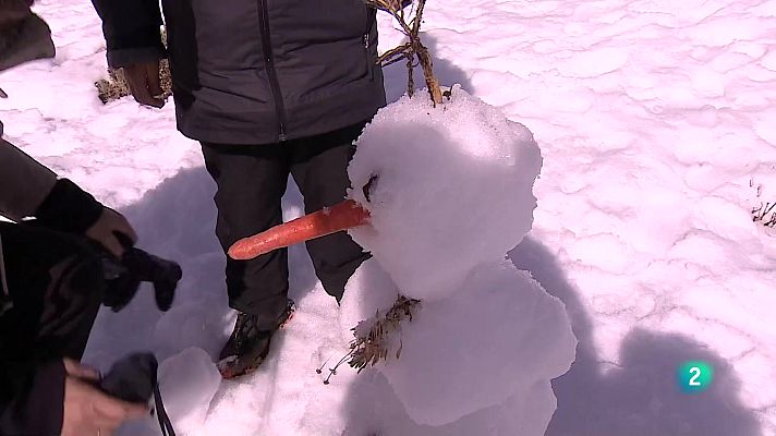 Telecanarias - Telecanarias tarde - 16/12/2025