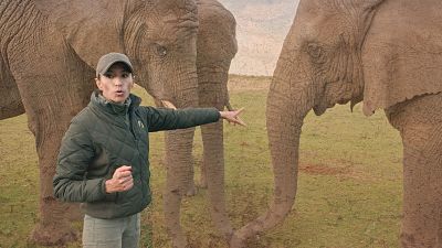 Un pulso entre especies