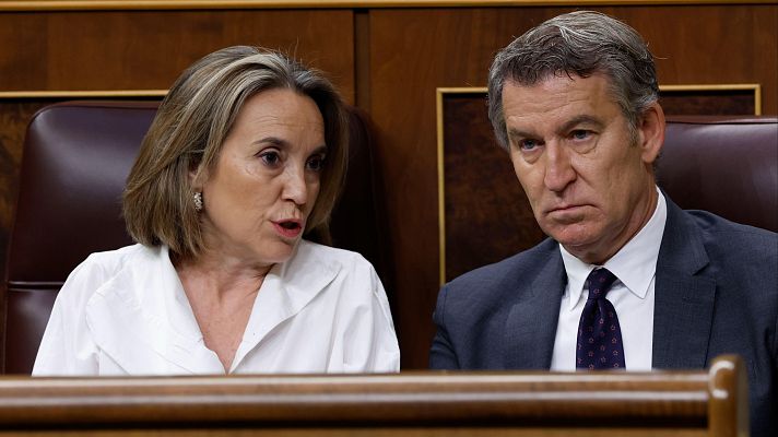 Informativo 24h - El PP cree que la Audiencia Nacional investiga las cuentas del PSOE porque hay "demasiados indicios"