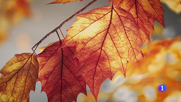 Telexornal - Galicia - El tiempo en Galicia 12-12-2025