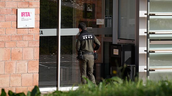 L'Informatiu - Mossos i Guàrdia Civil registren el laboratori IRTA-CReSA a Bellaterra en relació al brot de pesta porcina