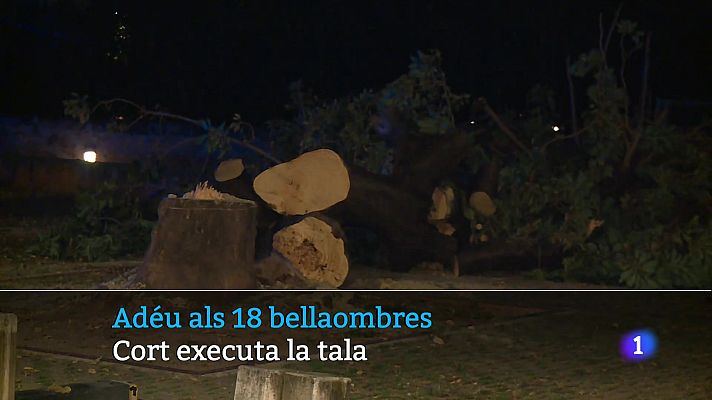 Informatiu Balear - Informatiu Balear 1 - 18/12/25