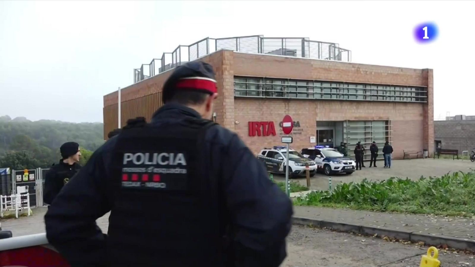 L'Informatiu - 18/12/2025