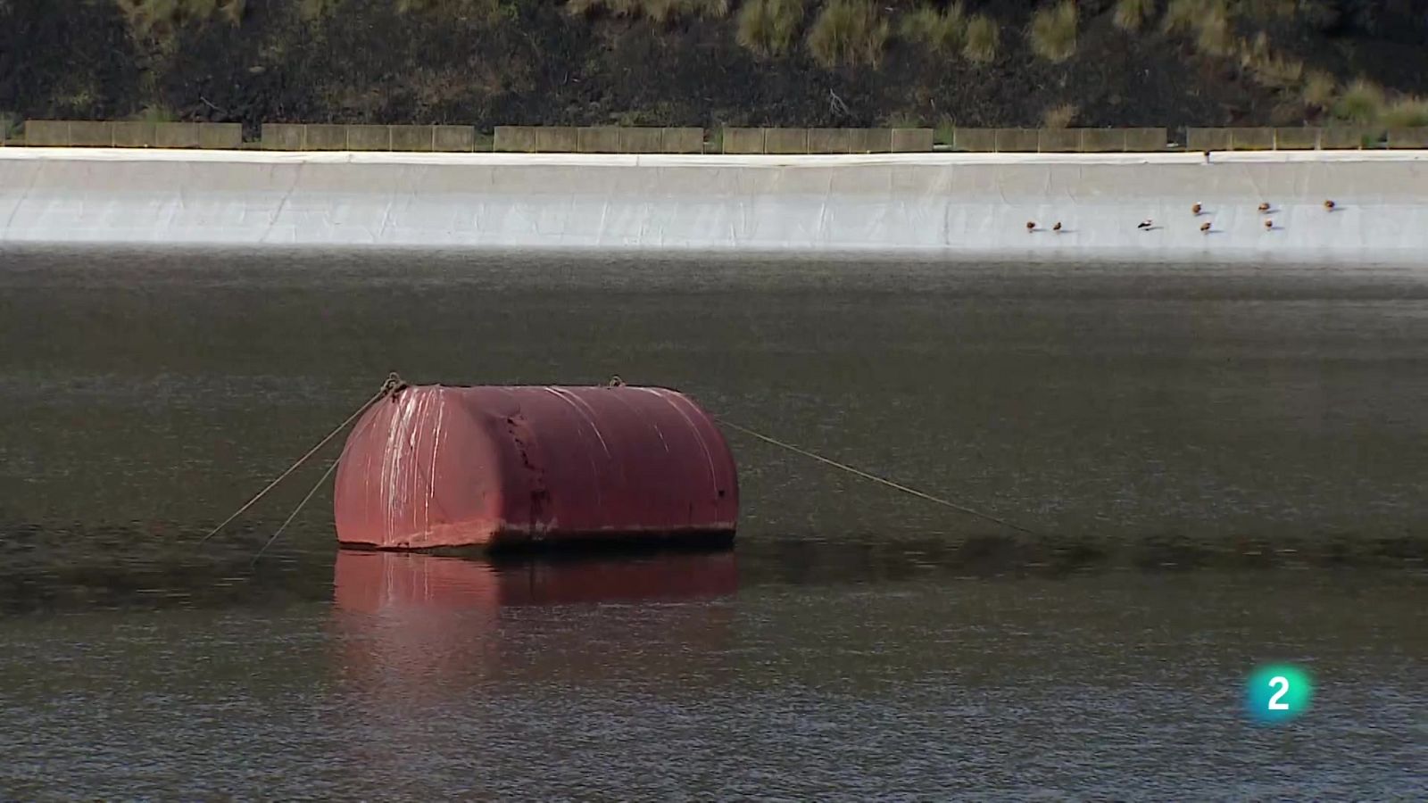 Telecanarias Tarde - 18/12/2025 | Ver