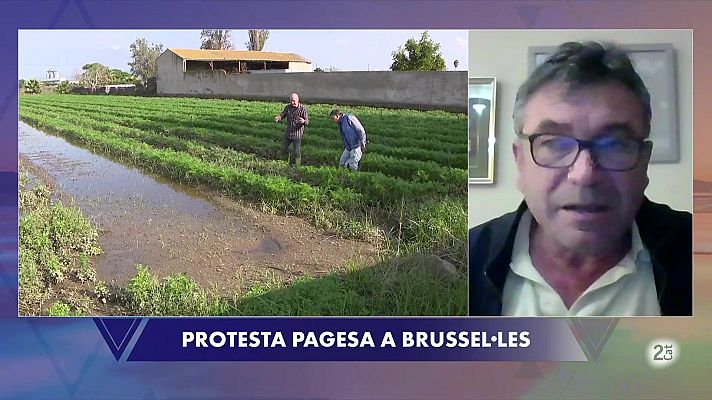 El Vespre - Unió de Pagesos: "La PAC era un equilibri i ara es trenca"