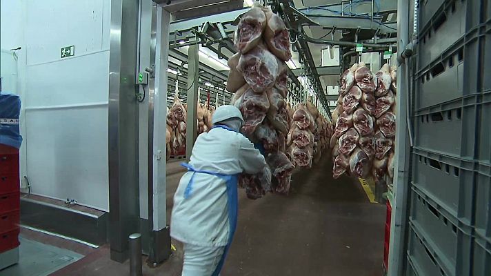 Agrosfera - Agrosfera - 20/12/25