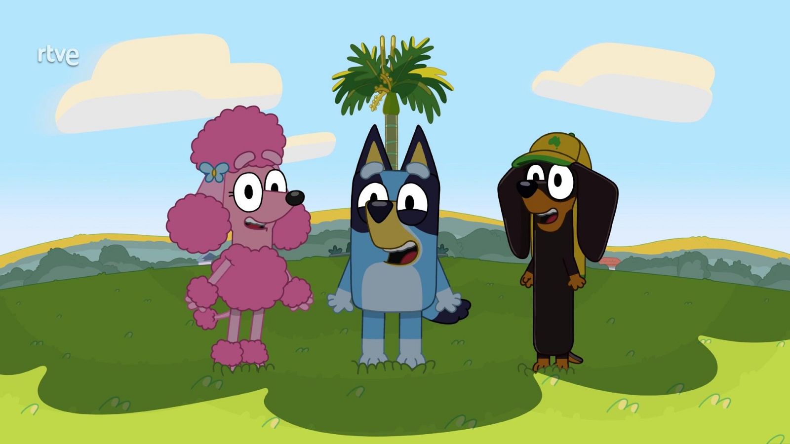 Tierra a la sombra - Bluey | Ver