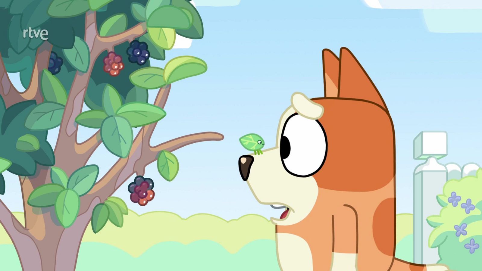 El fin de semana - Bluey | Ver