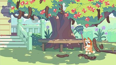 Barbacoa - Bluey | Ver