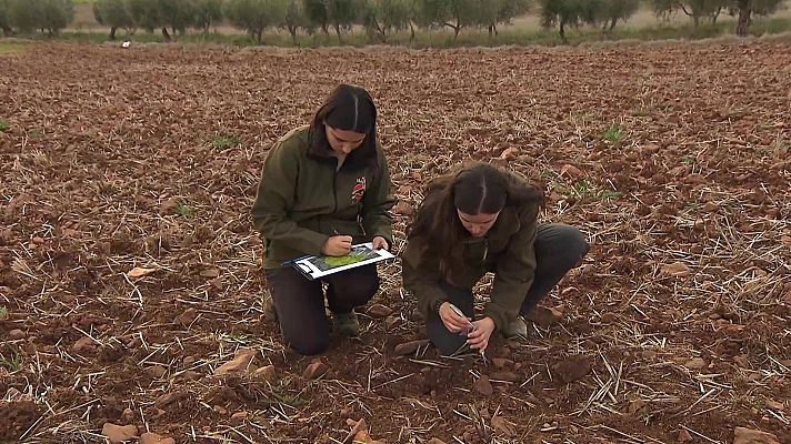 Jara y sedal - Agricultura y medioambiente