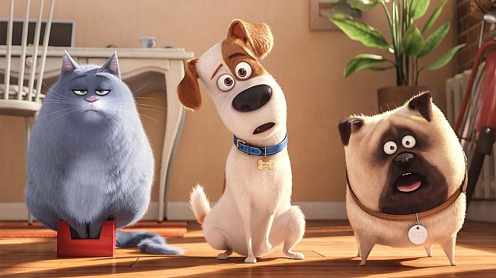 Mascotas | Ver películas gratis en RTVE Play - Cine en Familia | Ver película