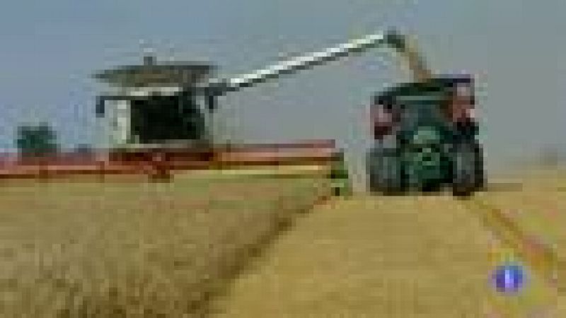 El sector agrario denuncia los recortes que sufre la agricultura en España