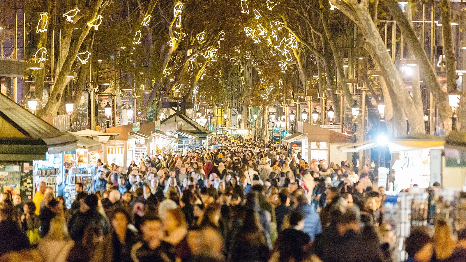 Las redes sociales amplifican bulos navideños contra musulmanes - La tarde en 24h | Ver