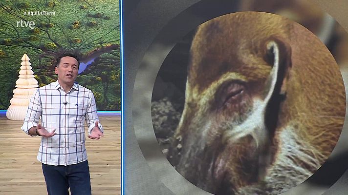 Aquí la Tierra - Aquí la Tierra - 23/12/25