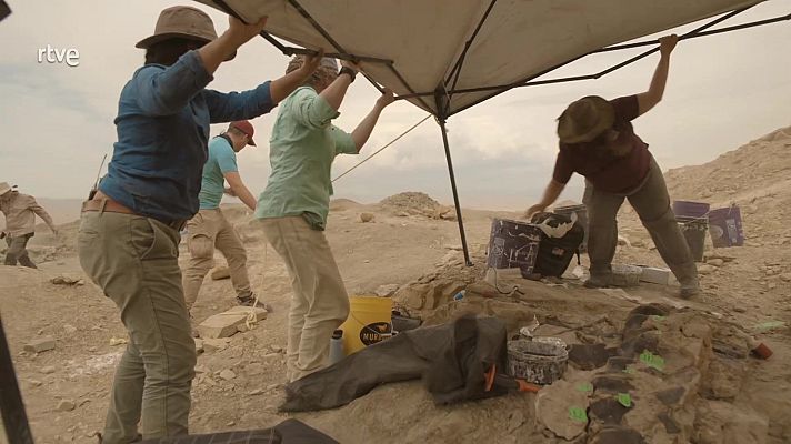 Secretos de los dinosaurios jurásicos - Episodio 2