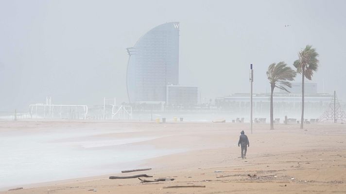 Diario 24 - Diario 24 - 26/12/25