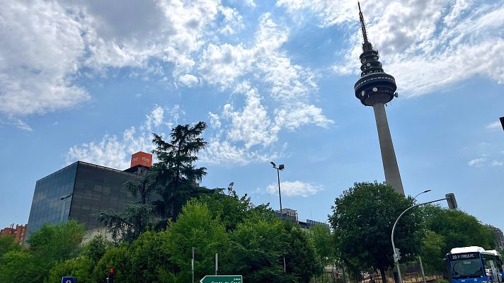 Telediario 1 - Radiotelevisión España lideró las audiencias en Nochebuena y Navidad