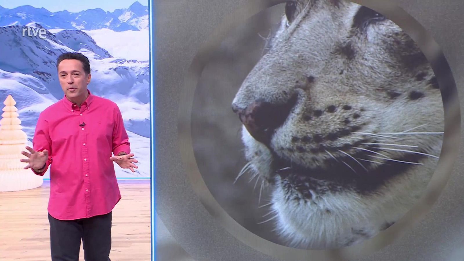 Aquí la Tierra - 26/12/25 - Aquí la Tierra | Ver