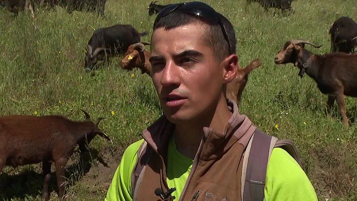 Agrosfera - Agrosfera - 27/12/25