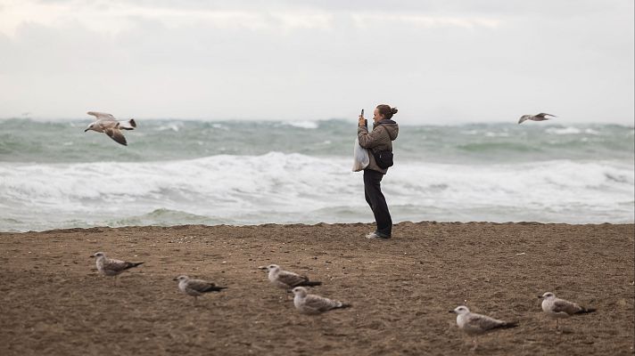 Telediario Fin de Semana - El temporal azota Málaga y deja daños y crecidas en los ríos de Cataluña