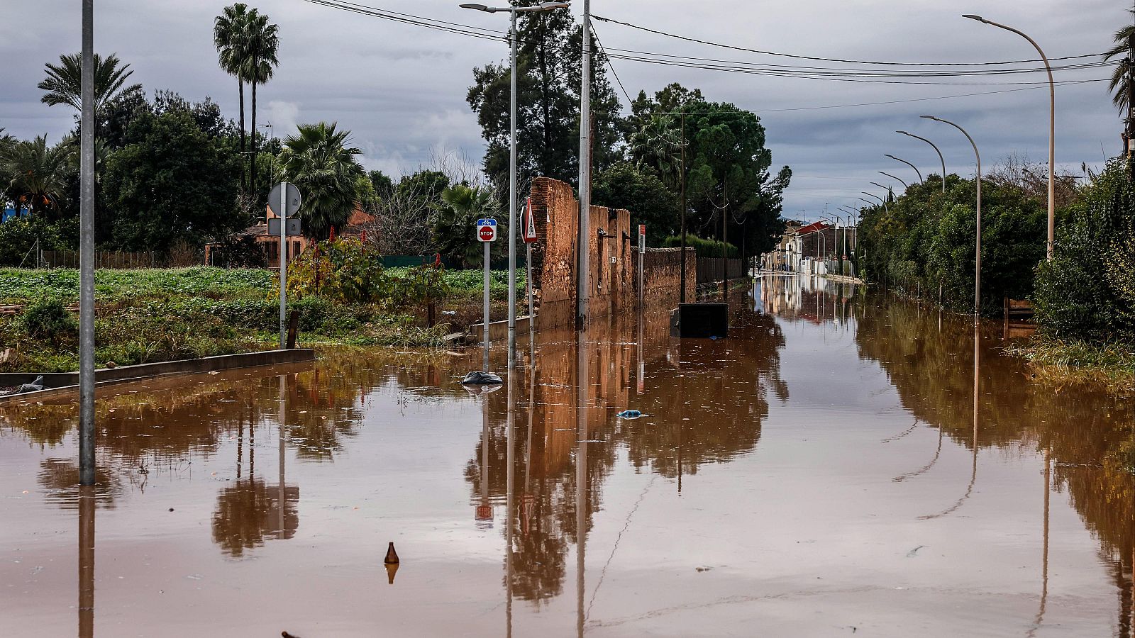 Informativo 24 horas - 14h - 29/12/25 - Informativo 24h | Ver