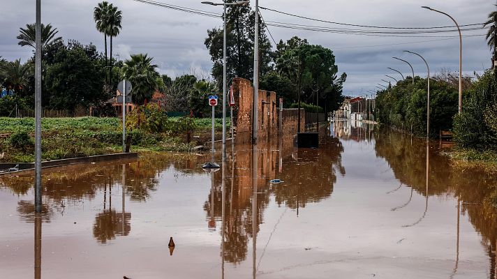 Informativo 24h - Informativo 24 horas - 14h - 29/12/25