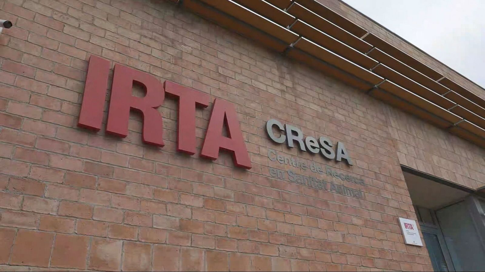 L'Informatiu 2 - 30/12/2025