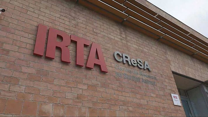 L'Informatiu - L'Informatiu 2 - 30/12/2025