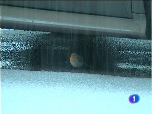 Panorama Regional - El tiempo en Asturias - 11/02/13