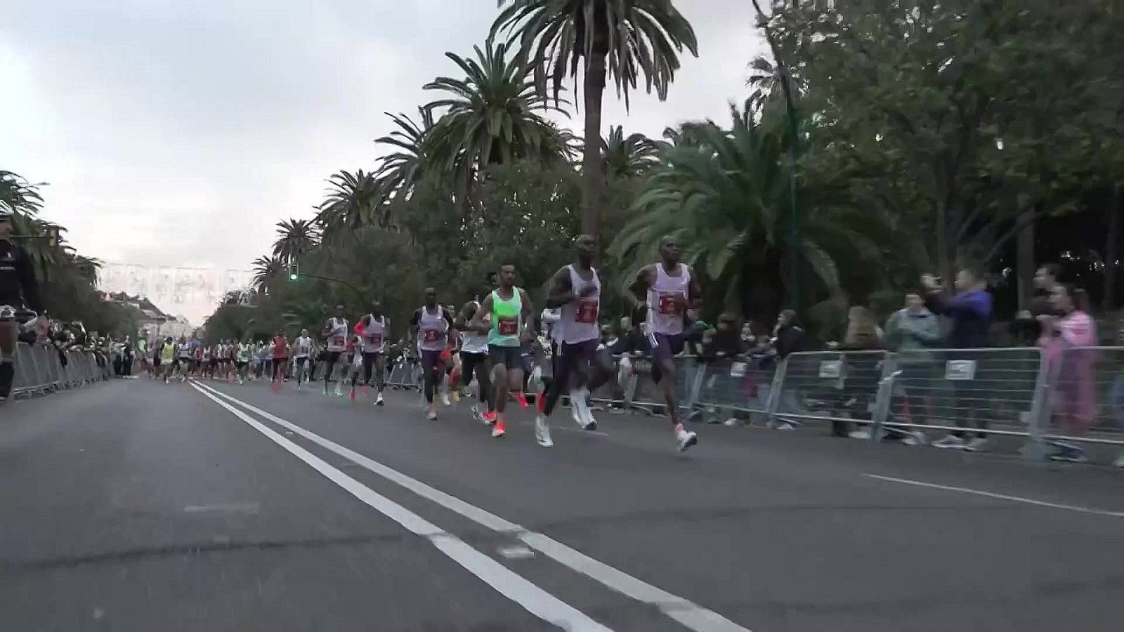 Atletismo en acción - 2025 - Programa 16 - Atletismo en acción | Ver