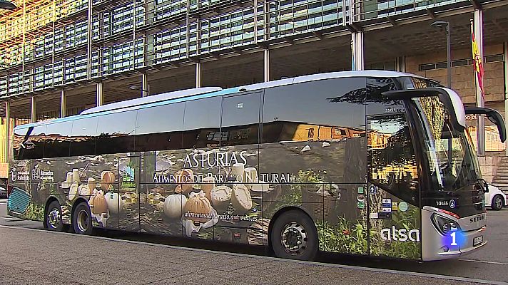 Panorama Regional - Panorama Regional - 30/12/25