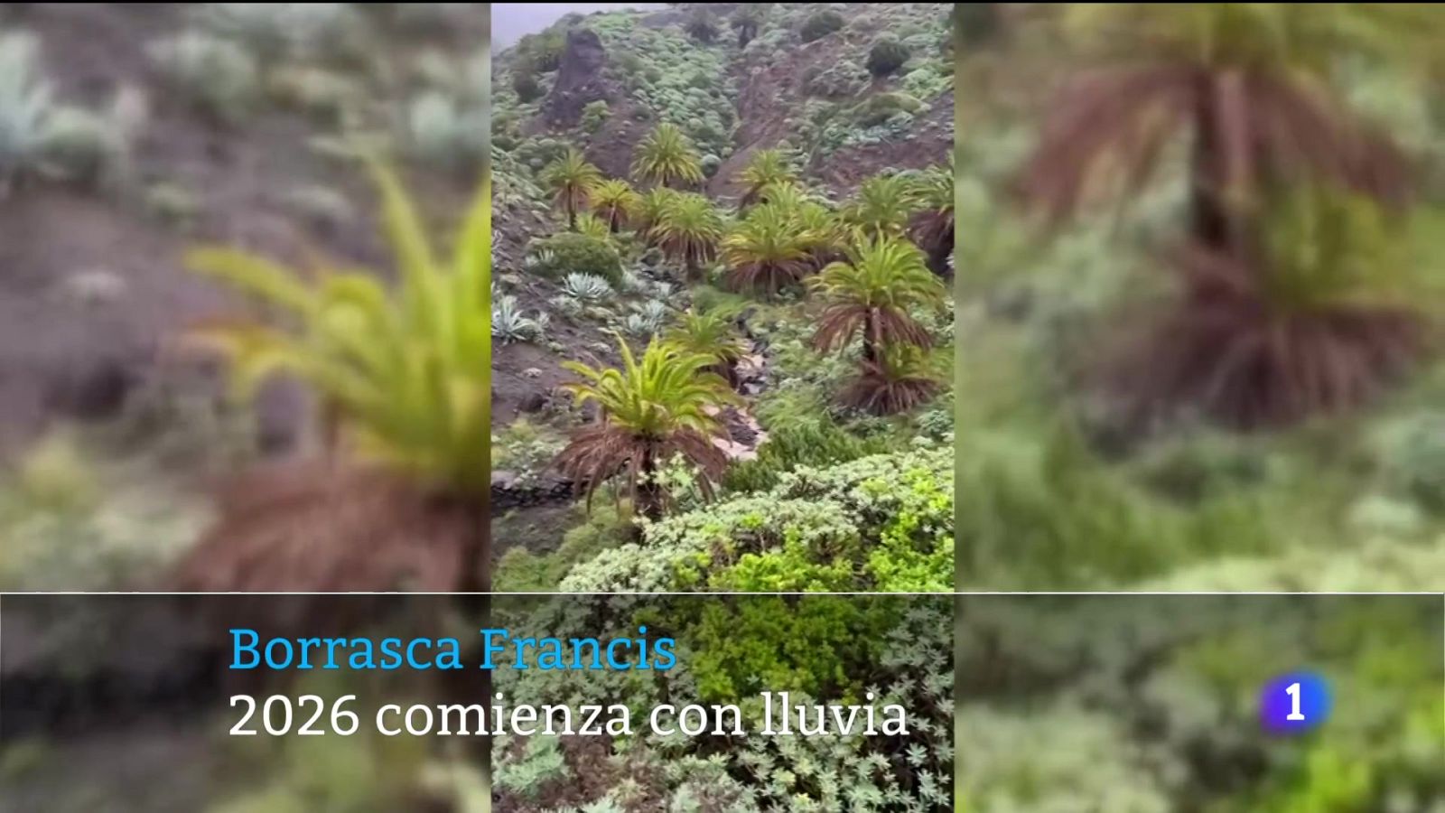 Telecanarias - 01/01/2026 | Ver