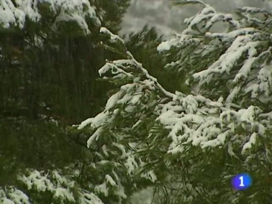 Noticias Murcia - Noticias Murcia 2 - 11/02/13