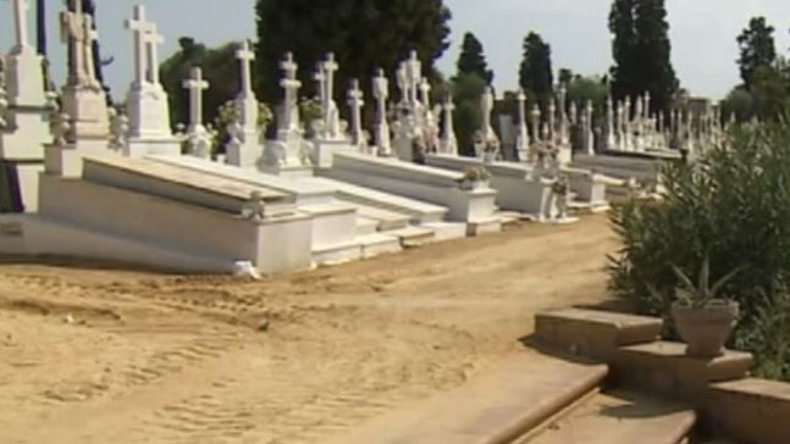 Se paraliza la exhumación de la mayor fosa de la Guerra Civil de Sevilla por la inacción del ayuntamiento - Directo al grano | Ver