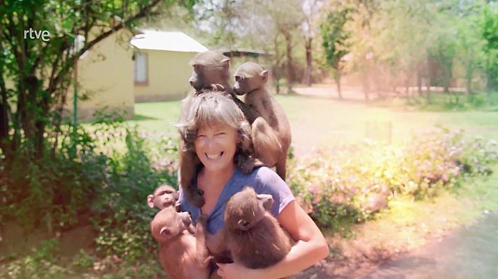 Rescate de animales bebé - Episodio 1