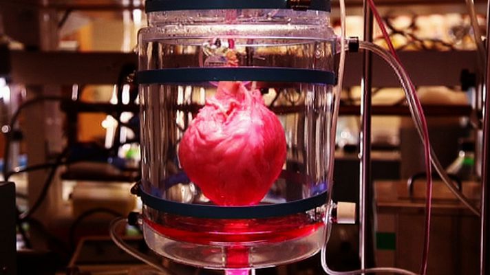 La noche temática - El corazón autosuficiente - Avance