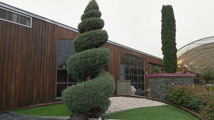 Aquí la Terra - Plantes, llana i màquines de cosir