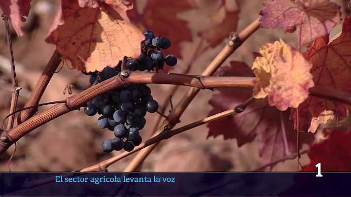 Informativo Telerioja - Informativo telerioja 2 - 09-01-2026