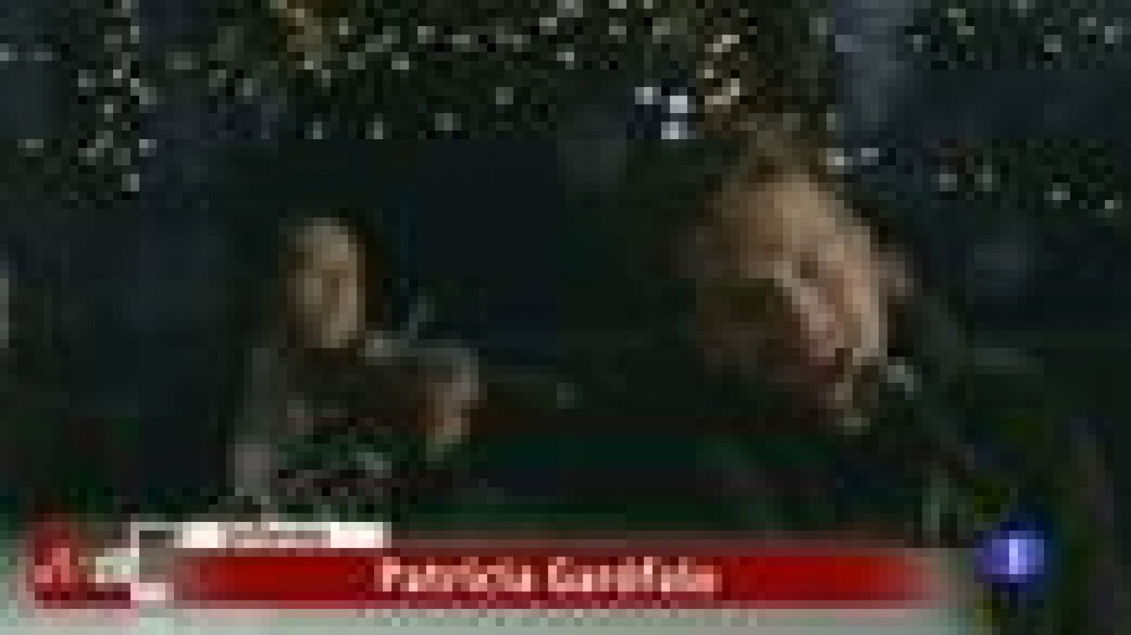 El secreto de Pablo Alborán - D Corazón | Ver