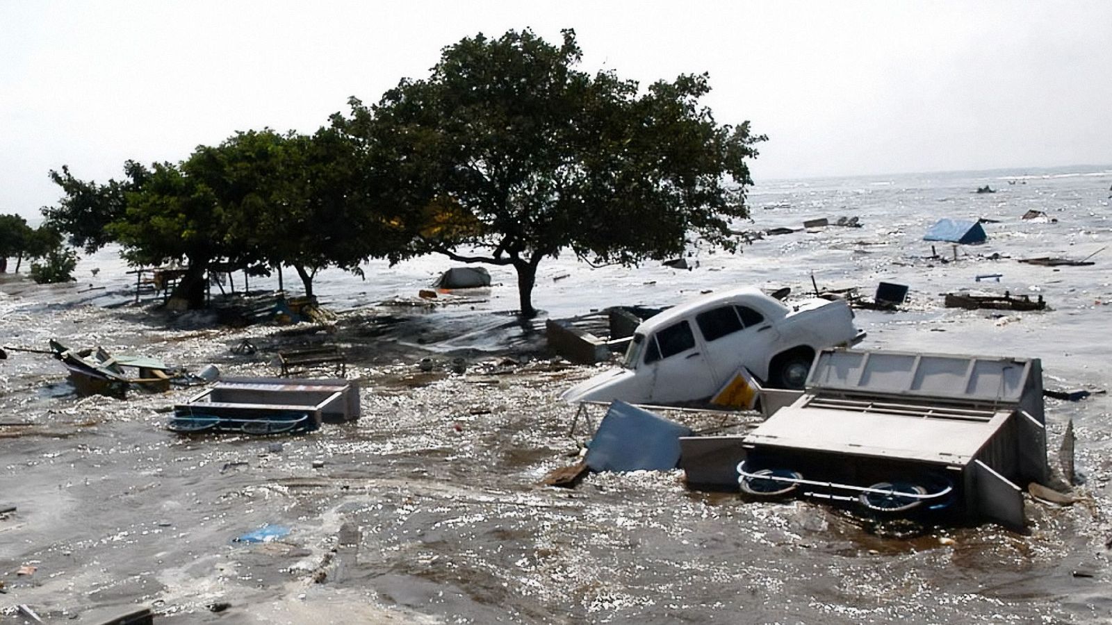 Documaster - Tsunami, la ola que conmocionó al mundo - Documaster | Ver documental