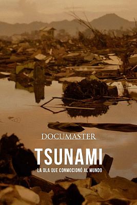 Documaster - Tsunami, la ola que conmocionó al mundo